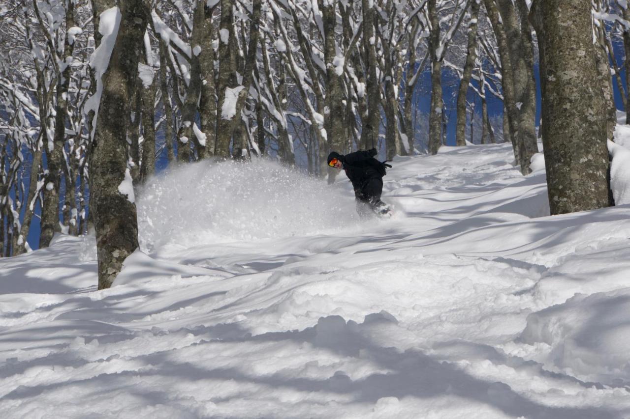 Hotel Monkey Rider à Hakuba Extérieur photo